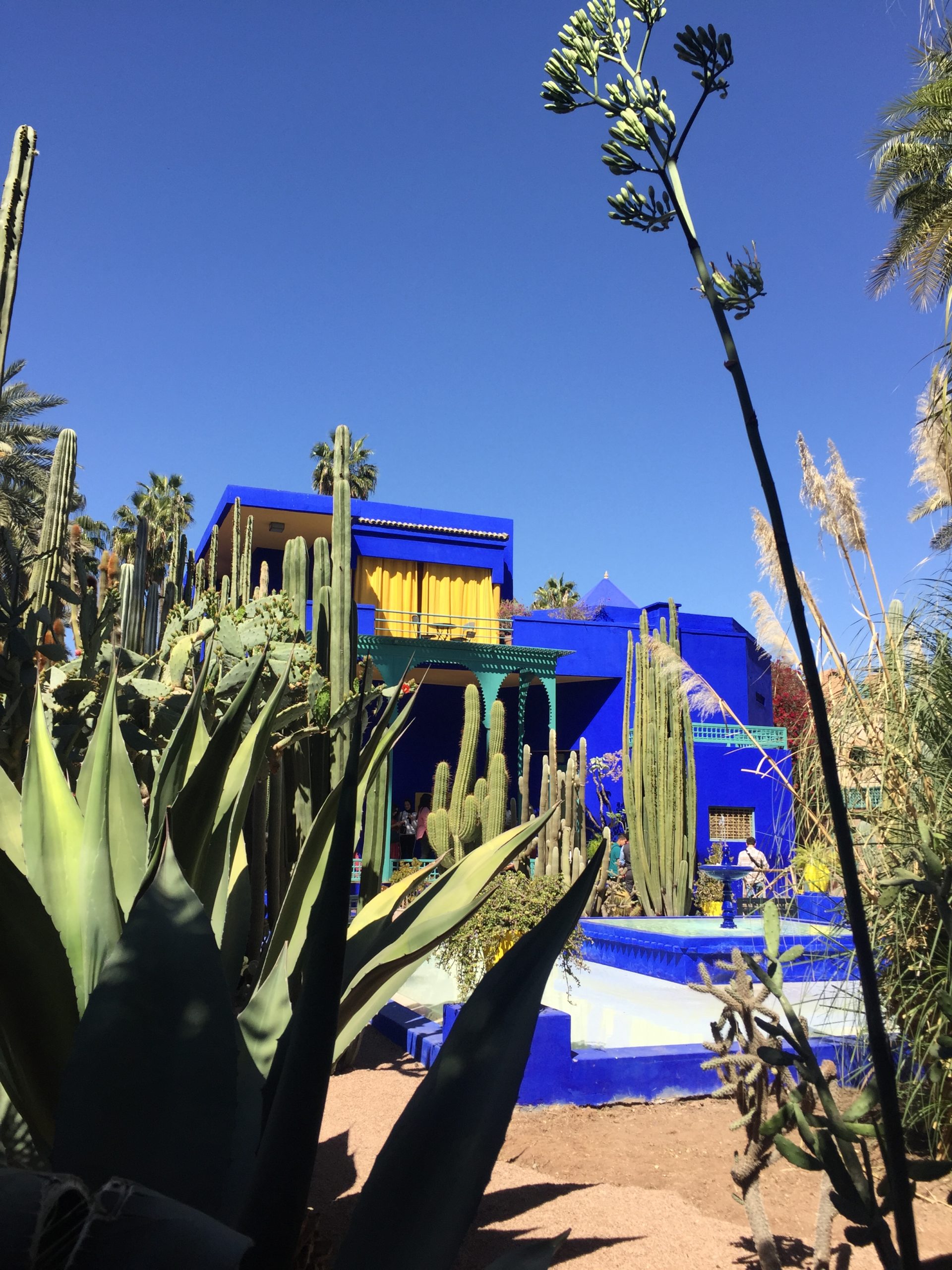 Bachelorette Party in Marrakech Majorelle Garden Enterrement de jeune fille à Marrakech EVJF au Jardin Majorelle