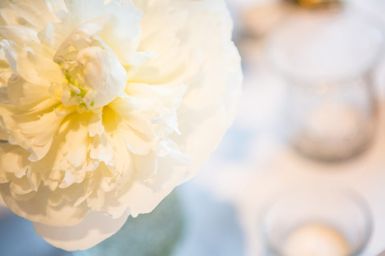 Birthday Party flower Concert fleurs fête d'anniversaire 