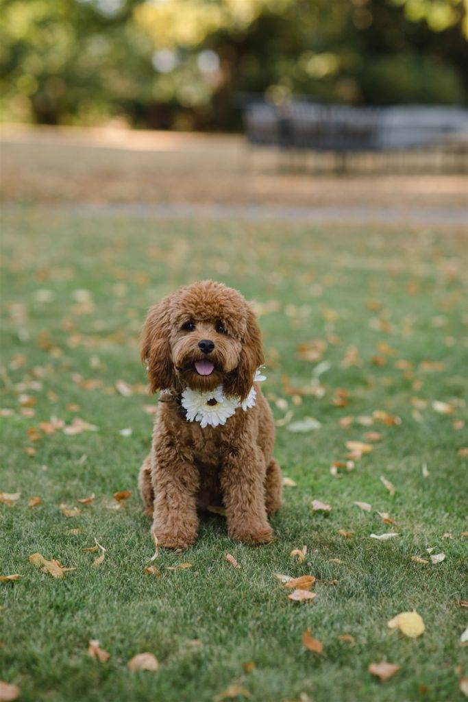 Birthday under the stars Anniversaire sous les étoiles